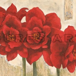 Poster Flori rosii cu foita argintie