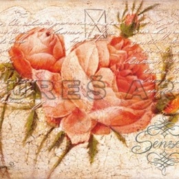 Poster ''Trandafir cu boboci''