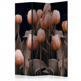 Paravan - Ladies among the flowers [Room Dividers]