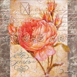 Poster Colaj cu trandafir