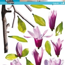 Sticker de perete floral  "Ramura de magnolie"