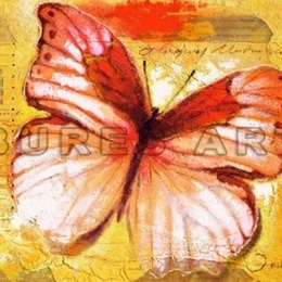 Tablou decorativ ''Fluture I'' inramat