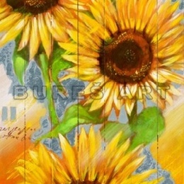 Poster Floarea soarelui