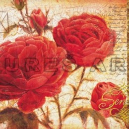 Poster Trandafiri rosii cu boboci