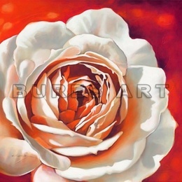 Poster decorativ cu trandafir alb