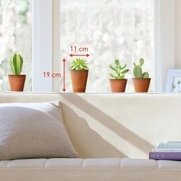Sticker de geam ''Ghivece cu cactus''