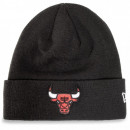 New Era BULLS