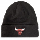 New Era BULLS