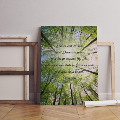 Tablou canvas Dumnezeu a iubit lumea - natura