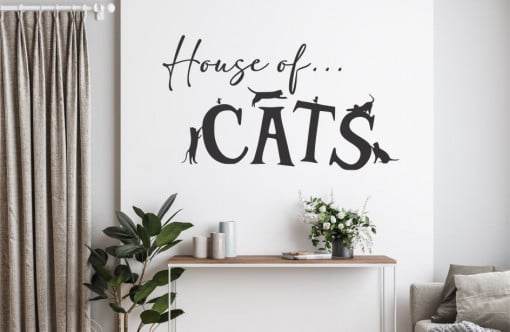 House of cats