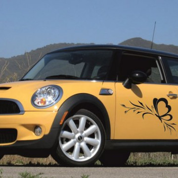 Fluture mini