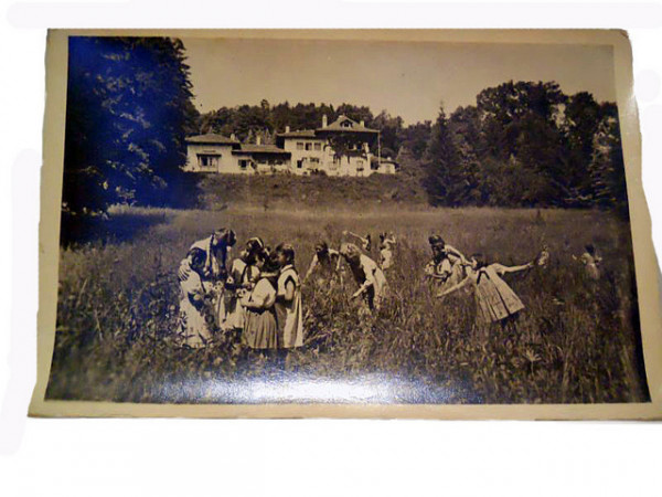 Carte postala vintage "Palatul Pionierilor" anii '50