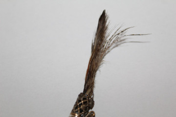 Broșă antique cu pene de fazan – edwardian cca. 1900 - Img 3