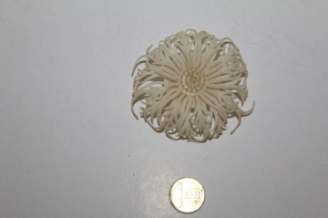 Broșă floare albă din plastic – vintage anii ’50-’60 - Img 2