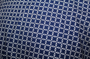 Rochie vintage carouri albastre cu alb anii '50