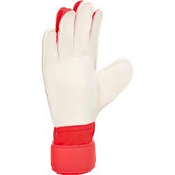 Manusi portar Adidas Predator Training - Img 3