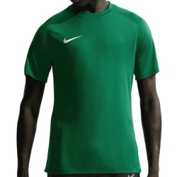 Tricou Nike Dry Park VIII pentru barbati