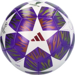 Minge fotbal Adidas UCL 25/26 Final Training - Img 2