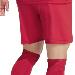 Pantaloni Adidas Entrada 26 pentru barbati - Img 2