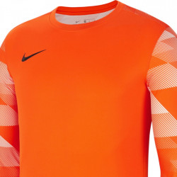 Bluza portar Nike Dry Park IV pentru barbati