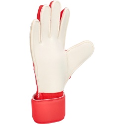 Manusi portar Adidas Predator Match - Img 3