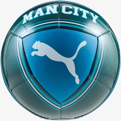 Minge fotbal Puma Manchester City Culture