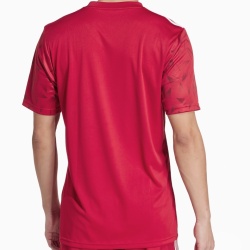 Tricou Adidas Team Icon 25 pentru barbati - Img 2