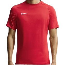 Tricou Nike Dry Park VIII pentru barbati