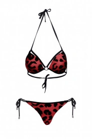 MISTERY HARNESS LEO ROSU