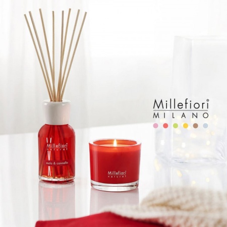 Odorizant de camera cu betisoare din bambus - MELA E CANNELLA - 250 ml