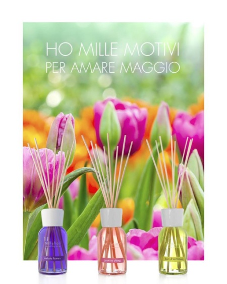 Odorizant de camera cu betisoare din bambus diverse arome Gama Naturals 250 ml