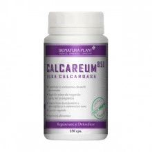 ALGA CALCAREUM - 850 mg -250 capsule