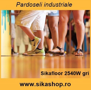 Vopsea epoxidica pentru garaje Sikafloor 2510 20 kg RAL 7035 gri
