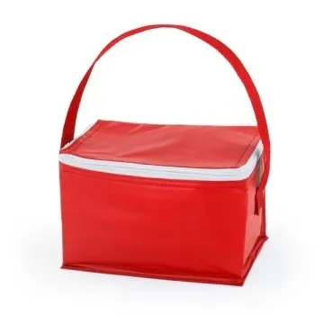 Geantă frigorifică cu interior izoterm din aluminiu pentru 6 cutii - Img 7