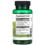 Reishi Mushroom Complex 60 vcaps Extract 15:1 cu Sopri de Coaja Swanson SWH237 - Img 2