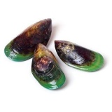 Pachet 6 Scoica cu Cochilie Verde Noua Zeelanda Complex Lipidic Marin GLM Premium 360 capsule Miracolul din Mare Dr Dacian H - Img 7