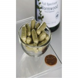 Sweet Wormwood 425 mg 90 caps Pelinita Artemisia - Img 2