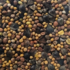Mix fitosanitar universal