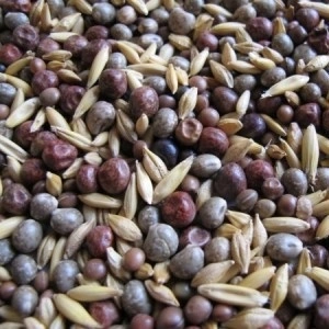 Mix siderate leguminoase si cereale