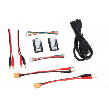 Incarcator Profesional Universal SkyRC D100AC/DC cu doua porturi , 100W - Img 6
