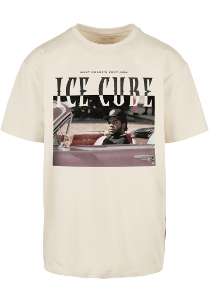 Ice Cube It's a good day Oversize Tee sand L