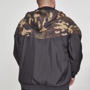 Pattern Arrow Windrunner - Img 13