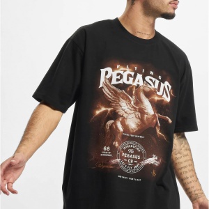Pegasus Oversize Tee