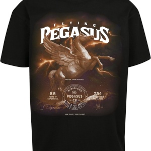 Pegasus Oversize Tee - Img 5