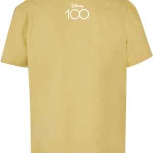 Disney 100 Winnie Pooh Face Oversize Tee palemoss 3XL - Img 4