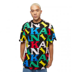 KANI - Retro Logo Tee - multicolor