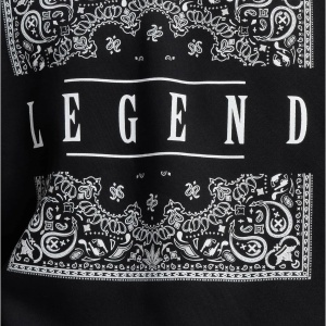 Dangerous DNGRS Legend Hoody - Img 4
