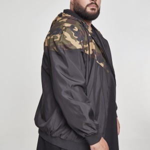 Pattern Arrow Windrunner - Img 14