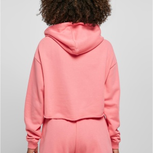 Ladies Starter Cropped Hoody - Img 3