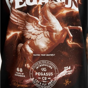 Pegasus Oversize Tee - Img 4